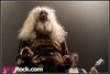 _DSC1187